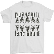 Squalo Denti Fossils Megalodon