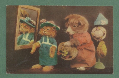 1940 dressed kitten - pc,