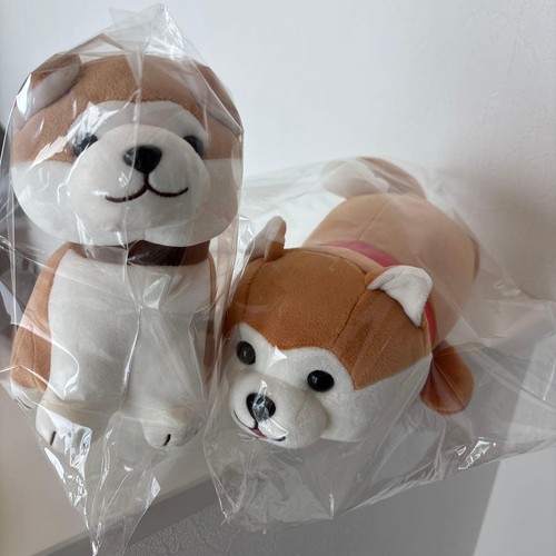 Peluche akita inu edizione - peluche,