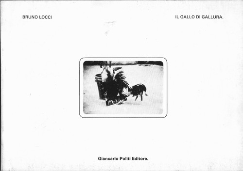 Bruno locci gallo - bruno,