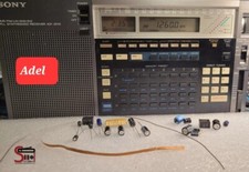 Sony ICF-2010 ICF-2001D Kit