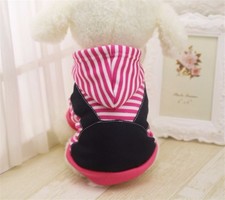 Abbigliamento per cane carlino yorkshire maltese bulldog taglia media