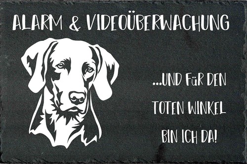 Weimaraner cartello - weimaraner, di