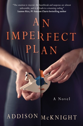 Imperfect plan novel - an, a