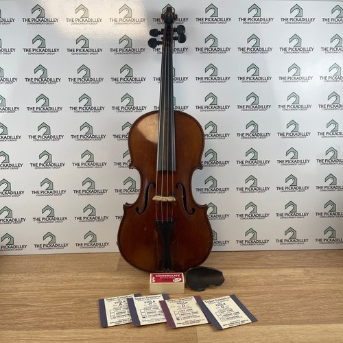 Antica viola pollici - antica, 15,5