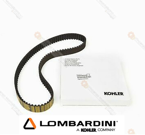 Cinghia distribuzione - cinghia,