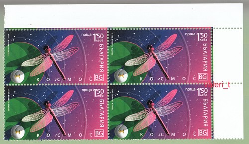 2025 bulgaria libellula - 2025, bulgaria,