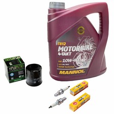 Kit Revisione 4L Olio per