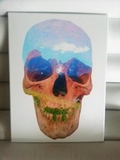 Quadro di teschio con le Dolomiti nello sfondo