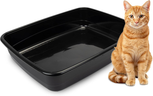 Lettiera gatto toilette per - toilette,
