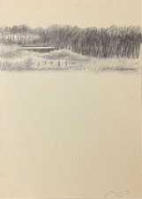 Carlo Mattioli (sassu sughi