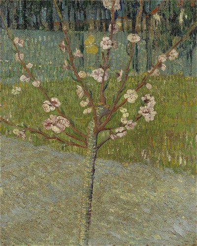 Dipinto olio - olio,