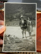 20078) COMO COPPIA CON CAGNOLINO AL RETRO CANDALINO 1929