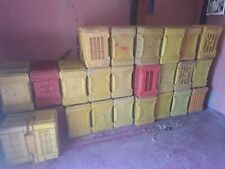 N.72  (settantadue) cassette per uva,olive e frutta