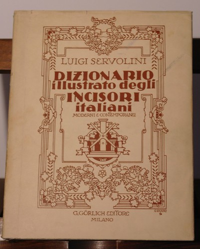 Libro arte dizionario - libro,