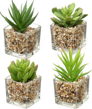 Piante Grasse Artificiali, Set Di 4 Piccole Piante Finte in Vasi Di Vetro Quadra