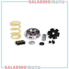 VARIATORE MALOSSI MULTIVAR