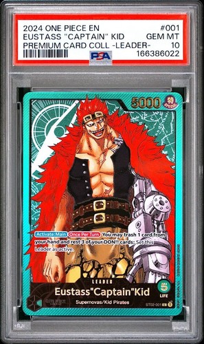 2024 one piece premium - piece, card