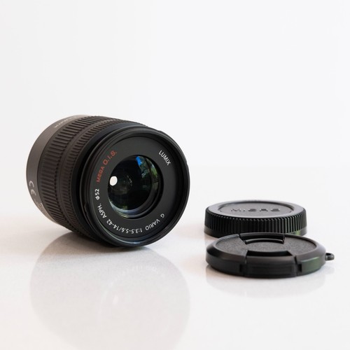 Panasonic lumix vario - g,