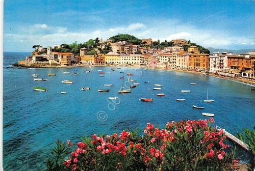 Cartolina sestri levante baia - cartolina,