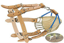 Museruola per cani da tartufo per esche liquide - Taglia fino a 13 kg