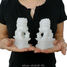 Coppia statuine leone bianco