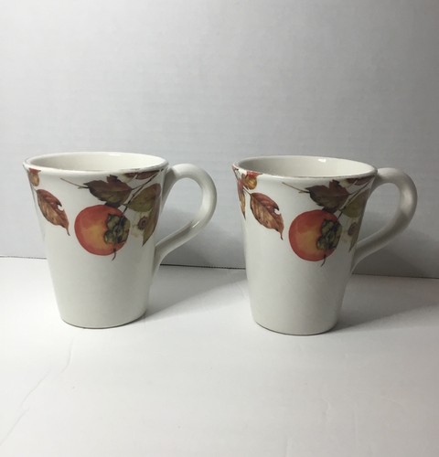 Tazze artigiana ceramica - artigiana, umbra