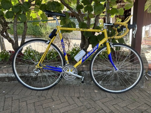 Bici corsa olmo - corsa,