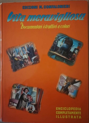 Vita meravigliosa - meravigliosa,