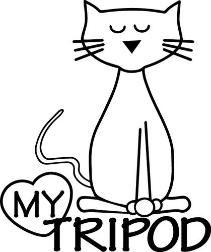Adesivo love special - special, cat