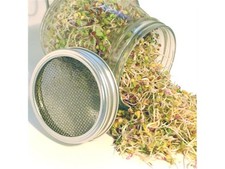 Barattolo Germogliatore Geo BAVICCHI