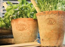 Degawo Vaso In Terracotta