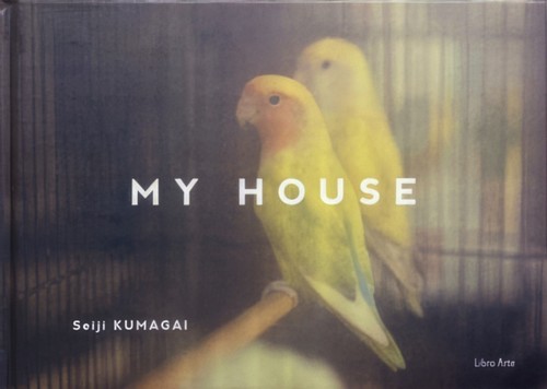 House libro arte - libro,