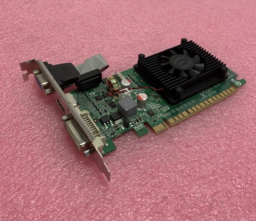 Scheda grafica video evga - scheda,