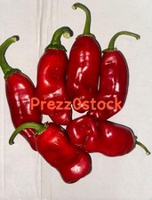 PEPERONCINO Peter Pepper Rosso