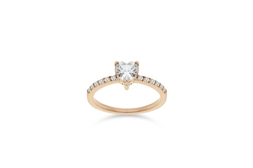 Liu anello acciaio - ,