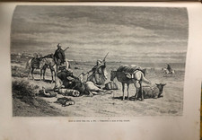 Incisione originale epoca 1885 piena pagina intera Tunisia Infortunio di Cavallo