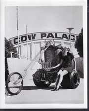 bellissimo modellino fronte