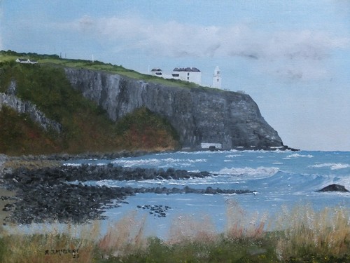 Blackhead coantrim - coantrim,