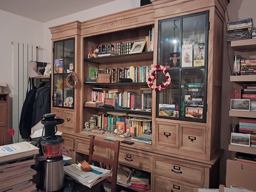 Libreria cabinet naturaliste - cabinet,