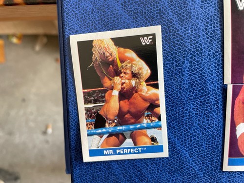 Wwf wrestling titan sports - titan,