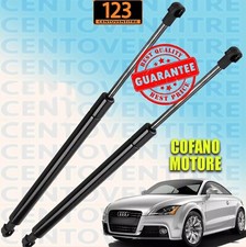 Molle a Gas Cofano MOTORE AUDI