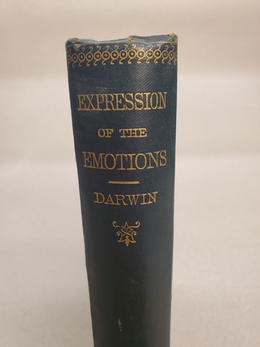 Expression the emotions - expression,