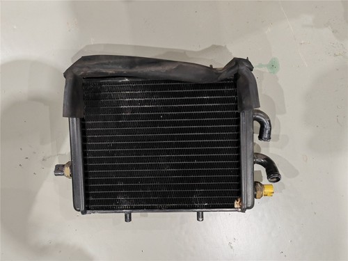 Radiatore leonardo 250 - radiatore,