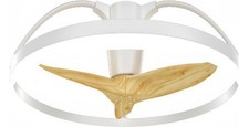Ventilatore da Soffitto con