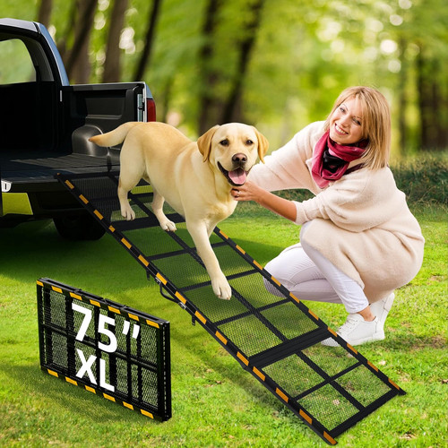 Rampa per cane - cane, camion