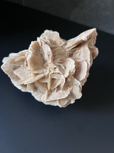 Rosa del deserto gesso - rosa,