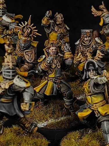 Pro painted bloodbowl 12 - pro-painted,, bloodbowl,