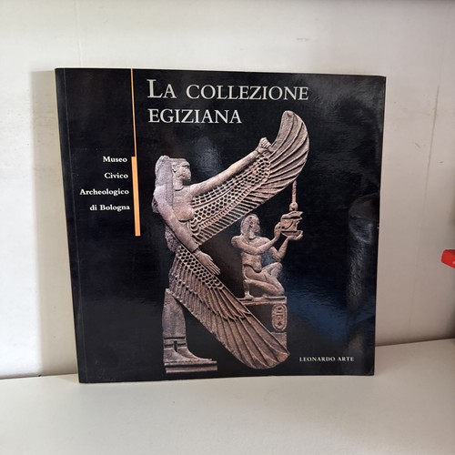 Collezione egiziana museo - collezione,