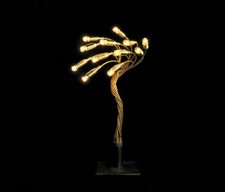 Catellani & Smith, Bonsai